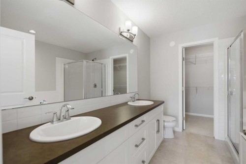 1456 Livingston Way Ne, Calgary, AB - Indoor Photo Showing Bathroom