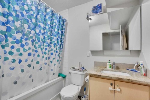 31 Skyview Shores Gardens Ne, Calgary, AB - Indoor Photo Showing Bathroom