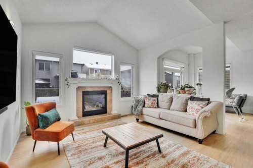 31 Skyview Shores Gardens Ne, Calgary, AB - Indoor Photo Showing Living Room With Fireplace