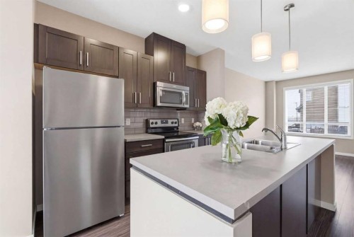 235 Copperstone Park Se, Calgary, AB - Indoor Photo Showing Kitchen With Stainless Steel Kitchen With Double Sink With Upgraded Kitchen
