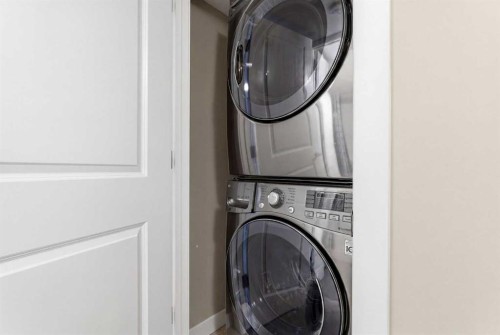 235 Copperstone Park Se, Calgary, AB - Indoor Photo Showing Laundry Room