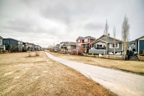 3 Cimarron Springs Circle, Okotoks, AB - Outdoor