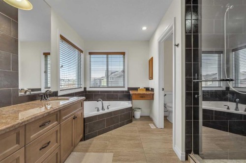 8 Legacy Terrace Se, Calgary, AB - Indoor Photo Showing Bathroom