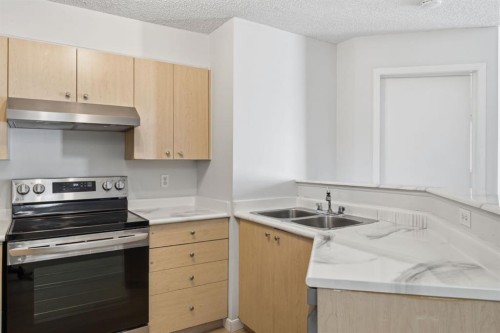 3109-4975 130 Avenue Se, Calgary, AB - Indoor Photo Showing Kitchen With Double Sink