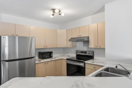 3109-4975 130 Avenue Se, Calgary, AB - Indoor Photo Showing Kitchen With Double Sink