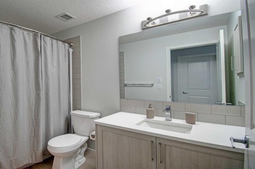 5119-20295 Seton Way Se, Calgary, AB - Indoor Photo Showing Bathroom