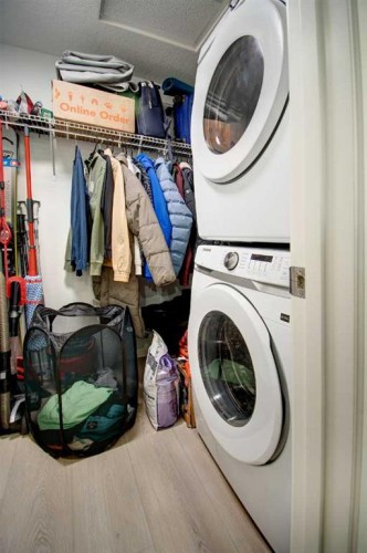 5119-20295 Seton Way Se, Calgary, AB - Indoor Photo Showing Laundry Room