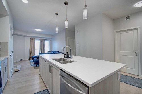 5119-20295 Seton Way Se, Calgary, AB - Indoor Photo Showing Kitchen With Double Sink With Upgraded Kitchen
