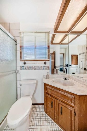 183 Dalcastle Way Nw, Calgary, AB - Indoor Photo Showing Bathroom