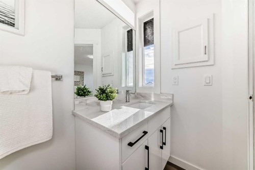 244 Coverdale Court Ne, Calgary, AB - Indoor Photo Showing Bathroom