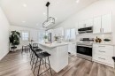 244 Coverdale Court Ne, Calgary, AB  - Indoor Photo Showing Kitchen With Upgraded Kitchen 