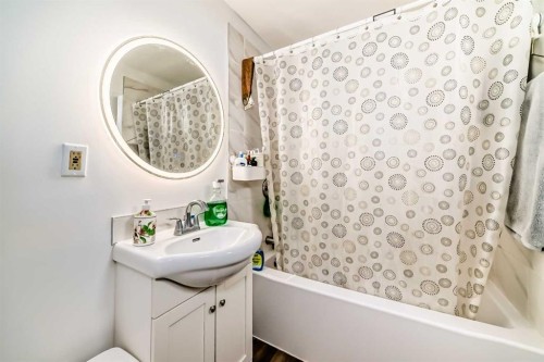 244 Coverdale Court Ne, Calgary, AB - Indoor Photo Showing Bathroom