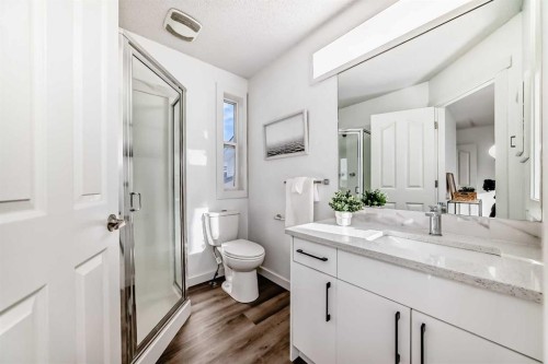 244 Coverdale Court Ne, Calgary, AB - Indoor Photo Showing Bathroom