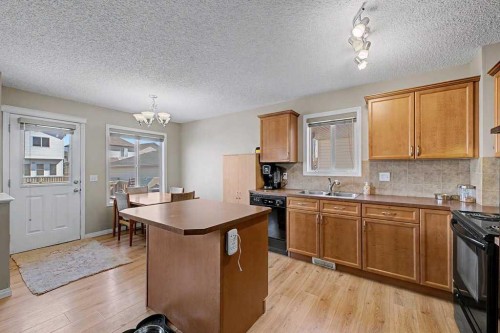 260 Covebrook Place Ne, Calgary, AB - Indoor Photo Showing Kitchen With Double Sink