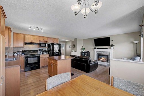 260 Covebrook Place Ne, Calgary, AB - Indoor Photo Showing Kitchen With Fireplace With Double Sink