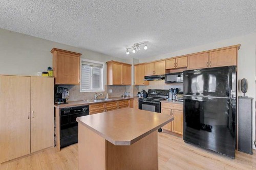 260 Covebrook Place Ne, Calgary, AB - Indoor Photo Showing Kitchen With Double Sink