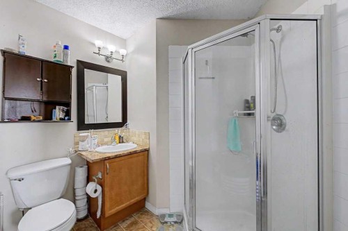 260 Covebrook Place Ne, Calgary, AB - Indoor Photo Showing Bathroom