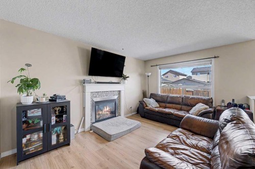 260 Covebrook Place Ne, Calgary, AB - Indoor Photo Showing Living Room With Fireplace
