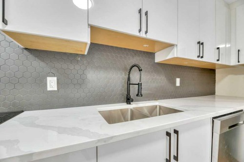 8-75 Templemont Way Ne, Calgary, AB - Indoor Photo Showing Kitchen With Double Sink