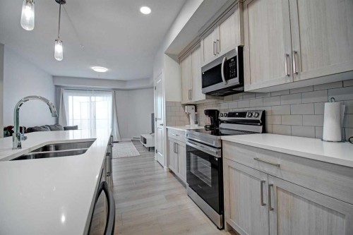 5121-20295 Seton Way Se, Calgary, AB - Indoor Photo Showing Kitchen With Double Sink