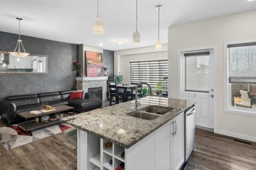 204 Walden Parade Se, Calgary, AB - Indoor Photo Showing Kitchen With Fireplace With Double Sink With Upgraded Kitchen
