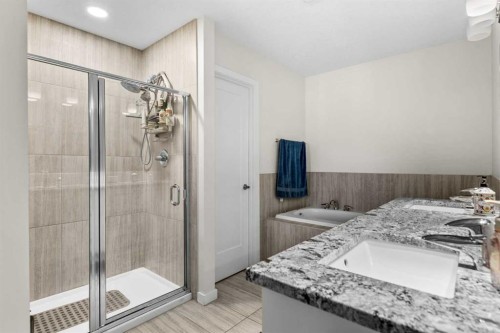 204 Walden Parade Se, Calgary, AB - Indoor Photo Showing Bathroom
