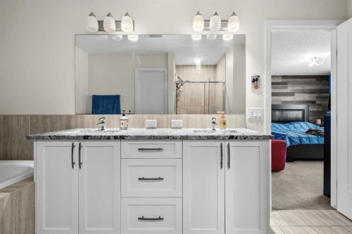204 Walden Parade Se, Calgary, AB - Indoor Photo Showing Bathroom