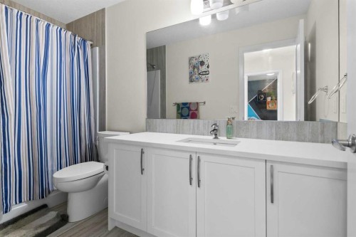 204 Walden Parade Se, Calgary, AB - Indoor Photo Showing Bathroom