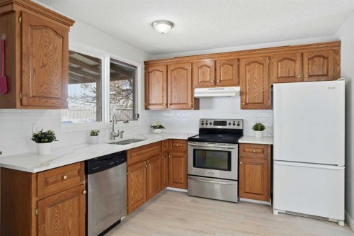107 Nottingham Road, Calgary, AB - Indoor Photo Showing Kitchen With Double Sink