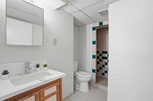 107 Nottingham Road, Calgary, AB - Indoor Photo Showing Bathroom