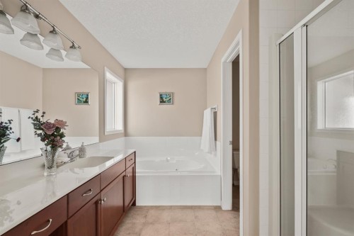 430 Discovery Ridge Boulevard Sw, Calgary, AB - Indoor Photo Showing Bathroom