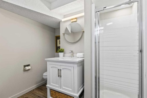 36 Lake Twintree Place Se, Calgary, AB - Indoor Photo Showing Bathroom