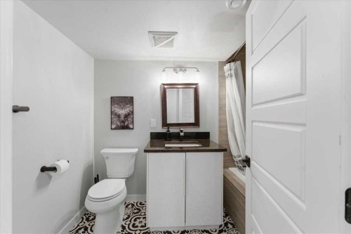 719 Allden Place Se, Calgary, AB - Indoor Photo Showing Bathroom