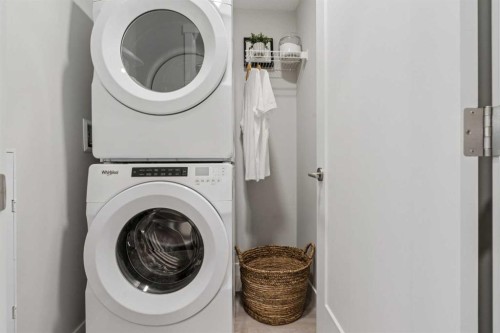 201-655 Shawnee Square Sw, Calgary, AB - Indoor Photo Showing Laundry Room