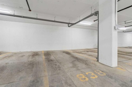 201-655 Shawnee Square Sw, Calgary, AB - Indoor Photo Showing Garage