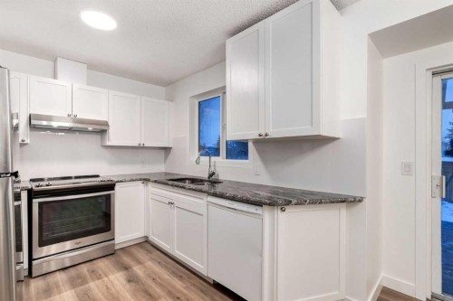 33 Martindale Court Ne, Calgary, AB - Indoor Photo Showing Kitchen With Stainless Steel Kitchen