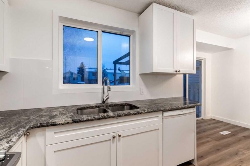 33 Martindale Court Ne, Calgary, AB - Indoor Photo Showing Kitchen With Double Sink