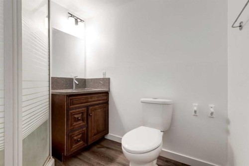 33 Martindale Court Ne, Calgary, AB - Indoor Photo Showing Bathroom