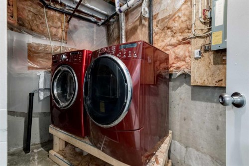 33 Martindale Court Ne, Calgary, AB - Indoor Photo Showing Laundry Room