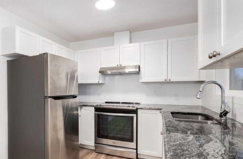 33 Martindale Court Ne, Calgary, AB - Indoor Photo Showing Kitchen With Stainless Steel Kitchen With Double Sink With Upgraded Kitchen