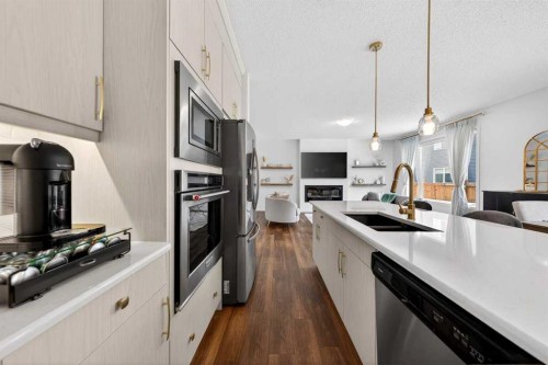 192 Cityspring Way Ne, Calgary, AB - Indoor Photo Showing Kitchen With Stainless Steel Kitchen With Double Sink With Upgraded Kitchen