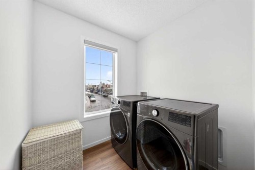 192 Cityspring Way Ne, Calgary, AB - Indoor Photo Showing Laundry Room