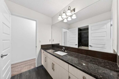192 Cityspring Way Ne, Calgary, AB - Indoor Photo Showing Bathroom