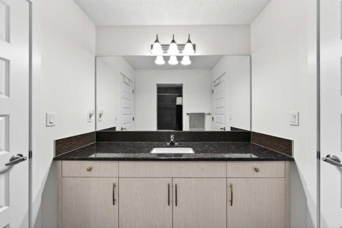 192 Cityspring Way Ne, Calgary, AB - Indoor Photo Showing Bathroom