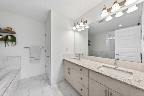 192 Cityspring Way Ne, Calgary, AB - Indoor Photo Showing Bathroom