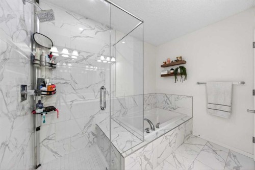 192 Cityspring Way Ne, Calgary, AB - Indoor Photo Showing Bathroom