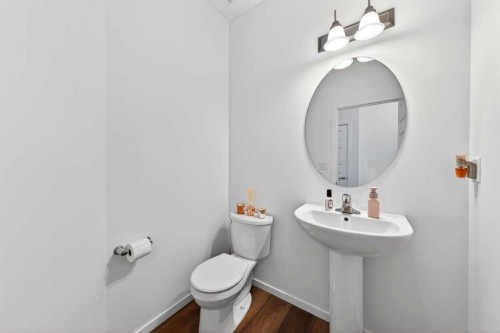 192 Cityspring Way Ne, Calgary, AB - Indoor Photo Showing Bathroom