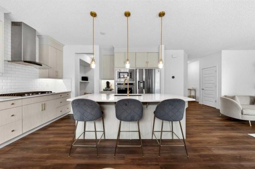 192 Cityspring Way Ne, Calgary, AB - Indoor Photo Showing Kitchen With Upgraded Kitchen