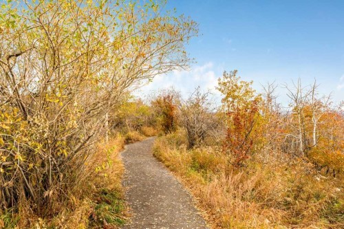 40 Cougar Ridge Heights Sw, Calgary, AB - Outdoor With View