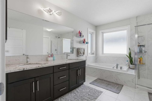 338 Red Sky Terrace Ne, Calgary, AB - Indoor Photo Showing Bathroom